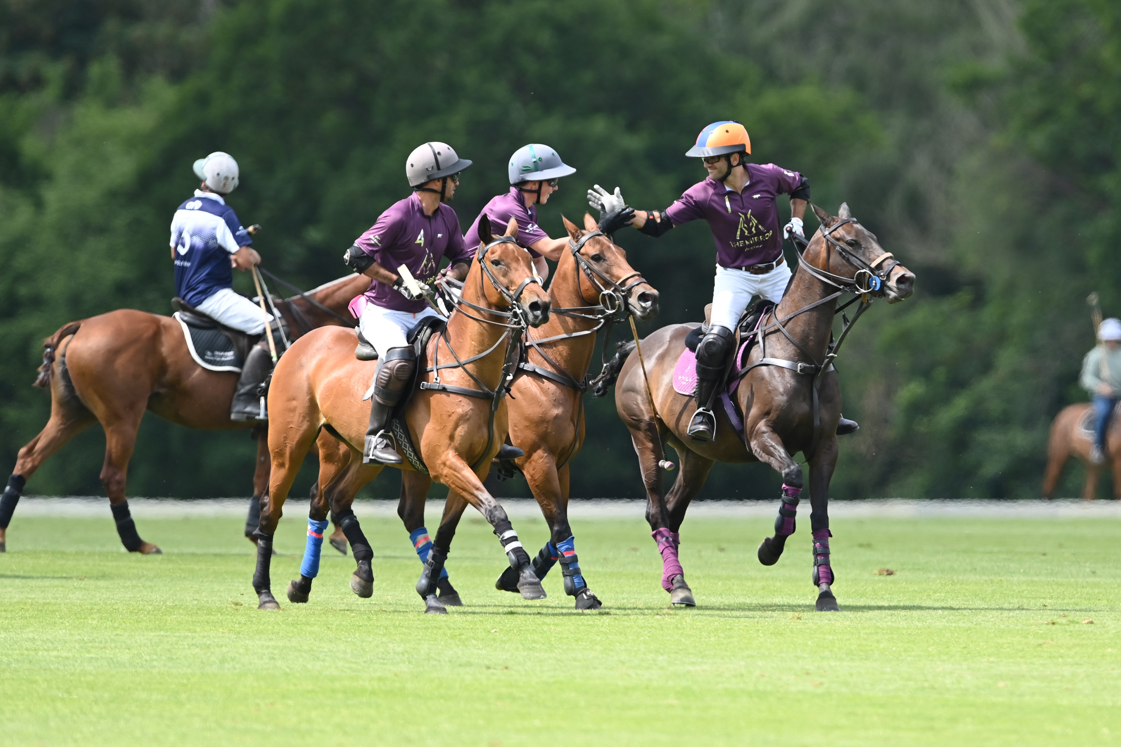 Committee Cup (Season 2026)