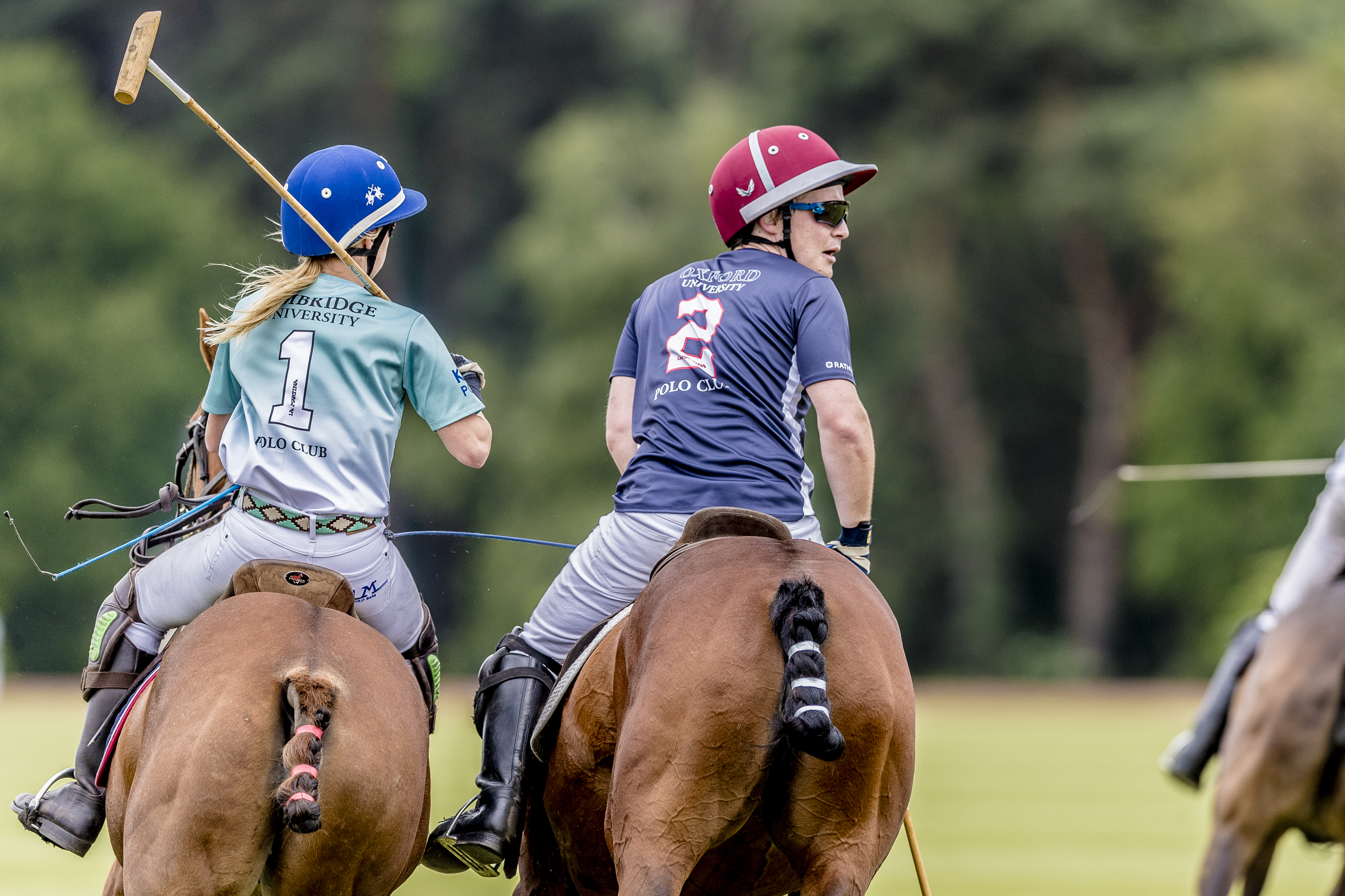 La Martina Varsity Polo (Season 2025)
