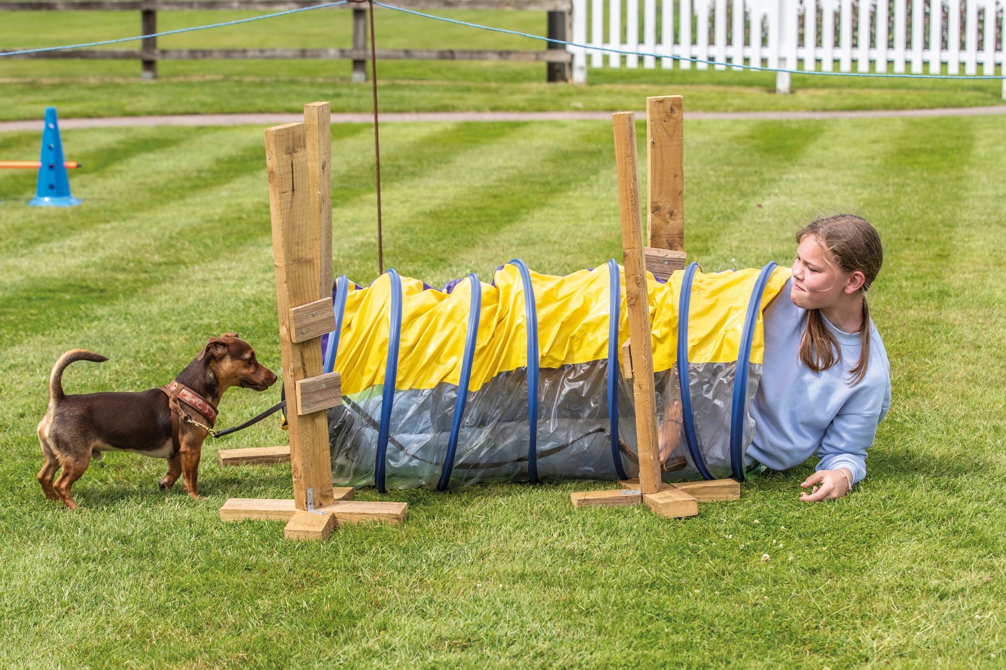 Smith's Lawn Dog Show (Season 2025)
