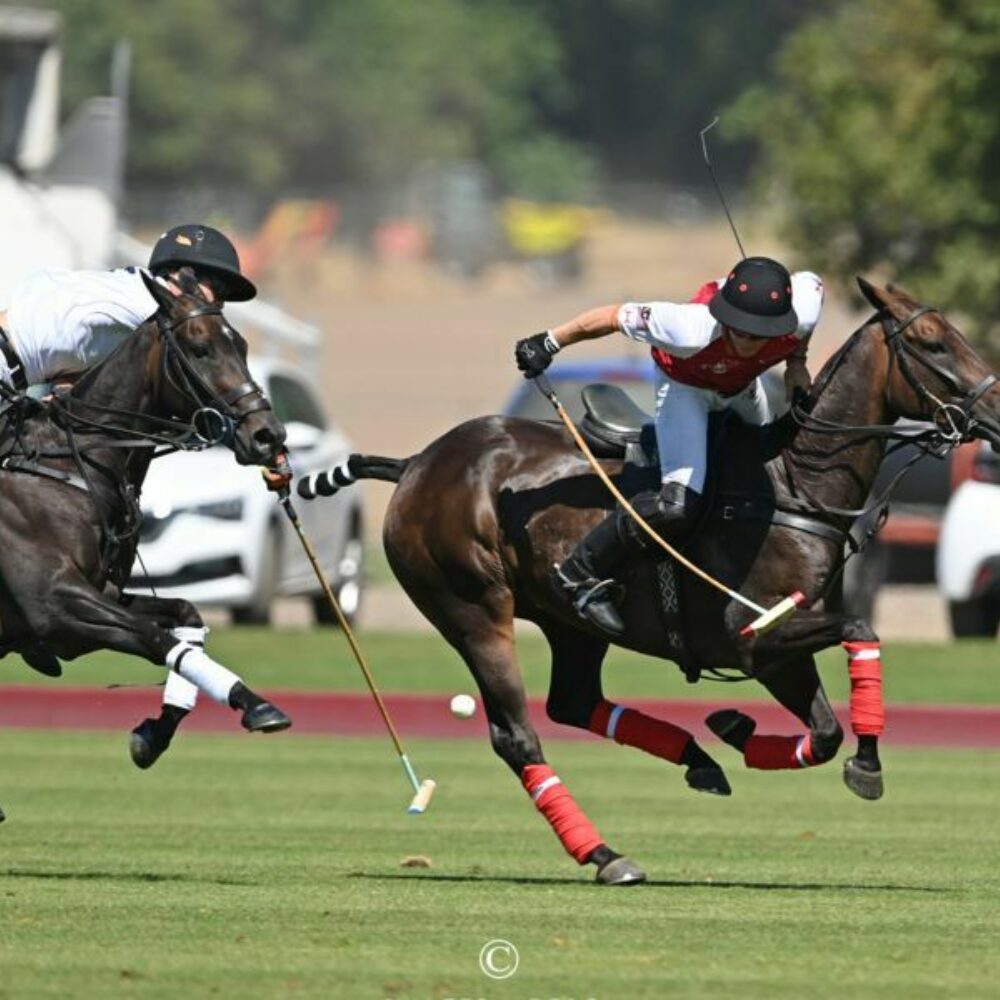 Image for Club News Item - BP Polo and Park Place Head to Talacrest Final