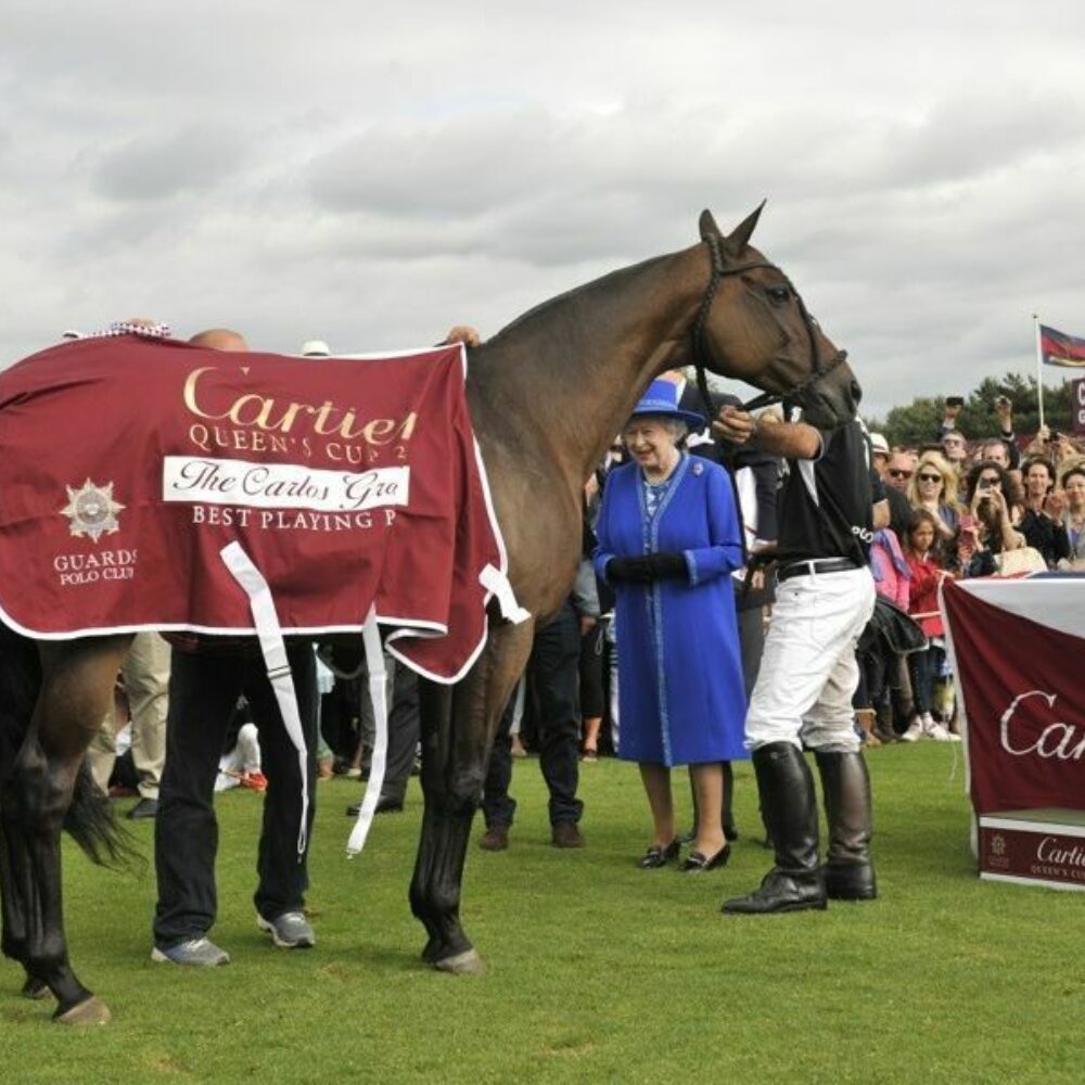 Image for Club News Item - Commonwealth team for Royal Salute Coronation Cup