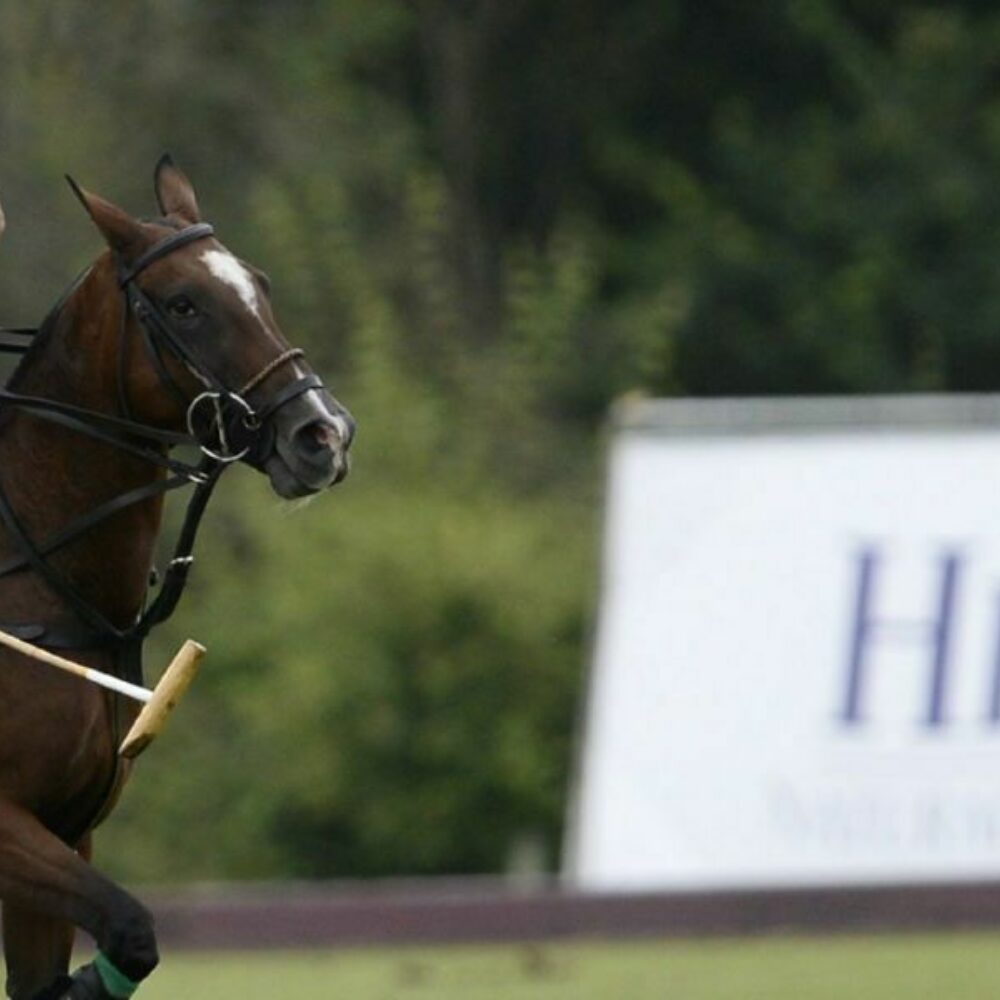 Image for Club News Item - Hildon Pours Support into Archie David Cup