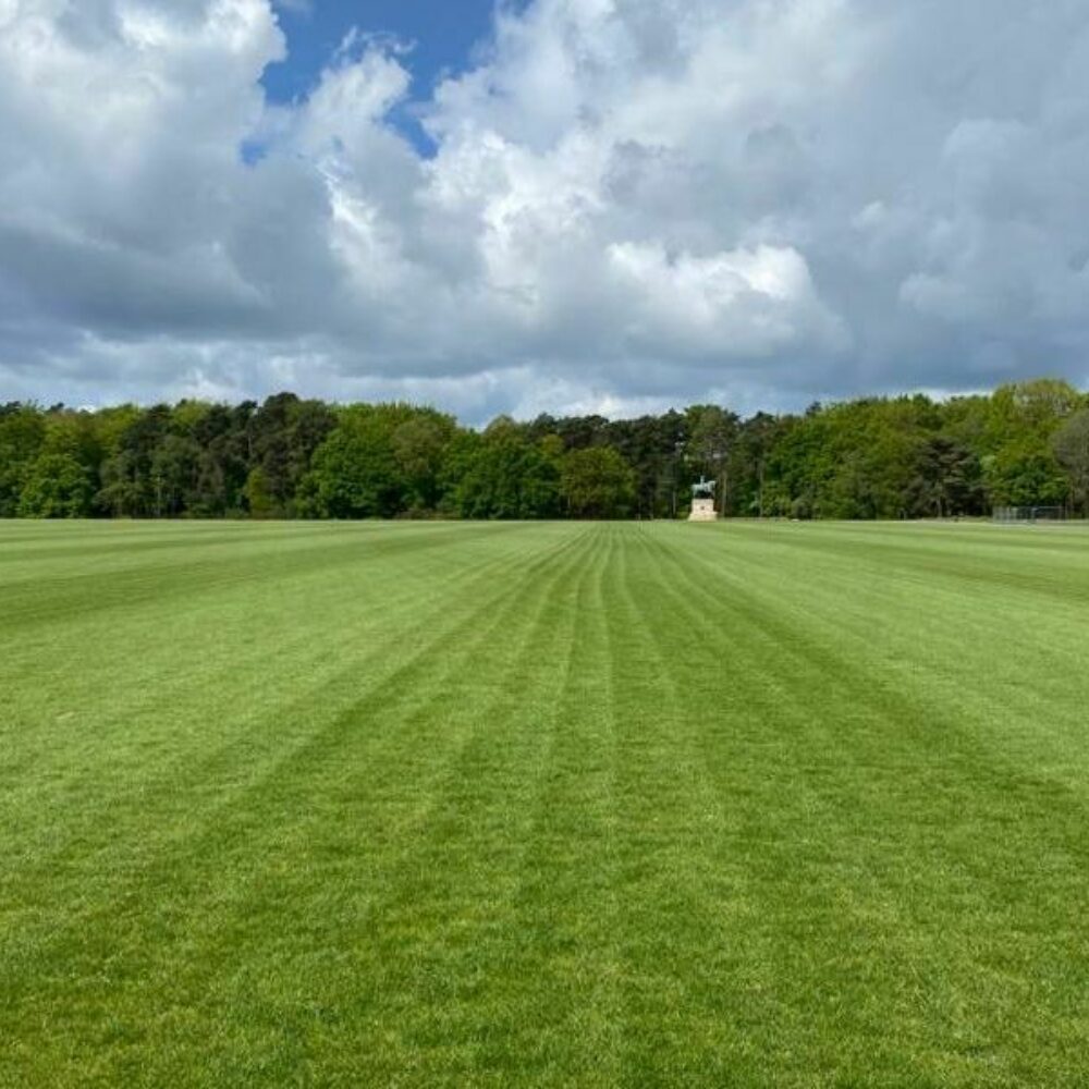 Image for Club News Item - Once in a lifetime opportunity - be the first person to stick & ball on the new Princes' Ground and raise funds for charity