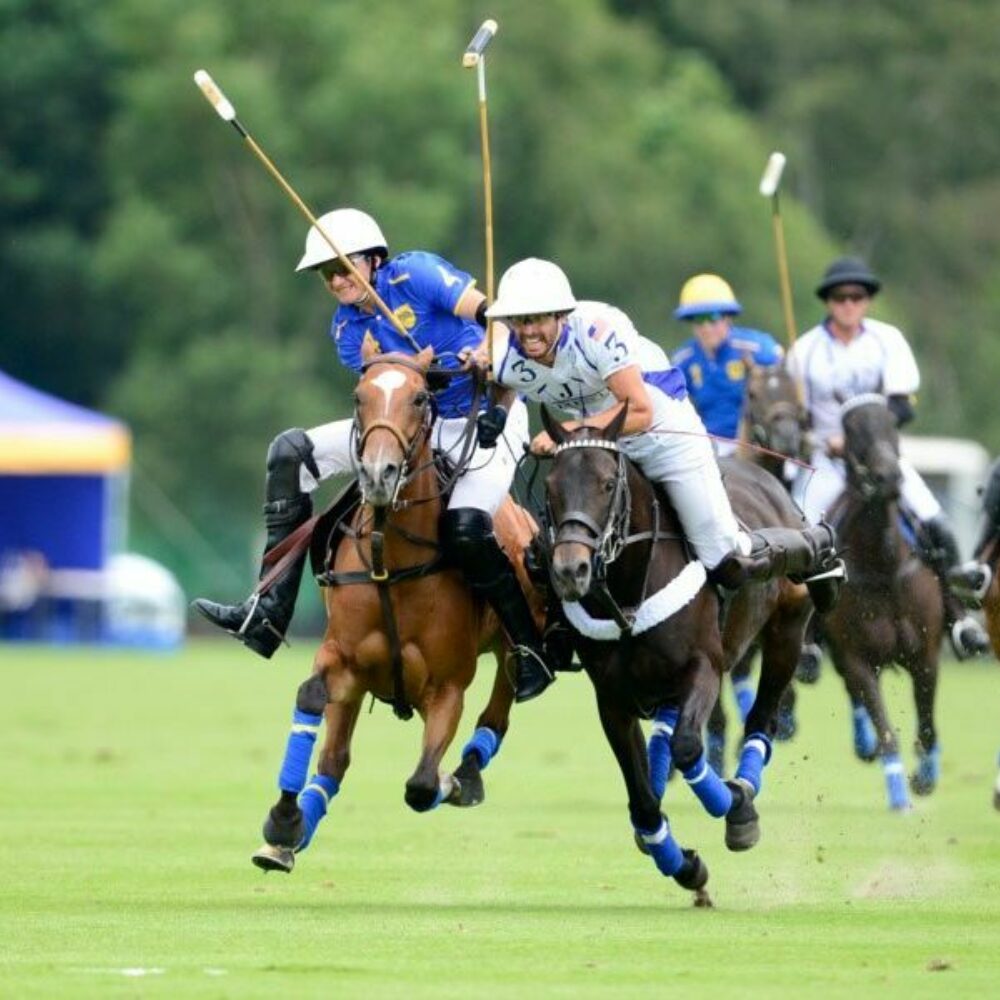 Image for Club News Item - Park Place and La Indiana head to Cartier Queen's Cup Final