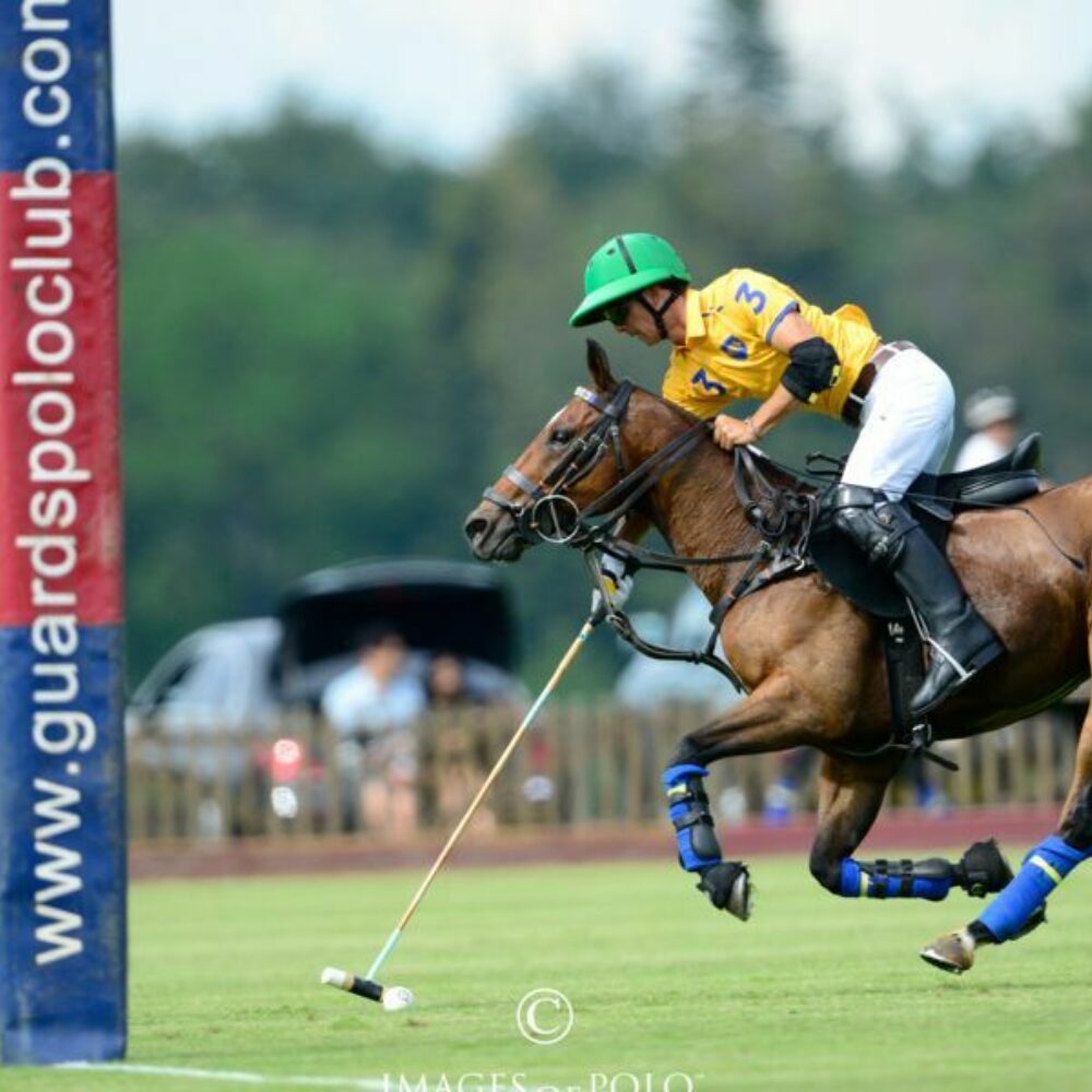 Image for Club News Item - Talacrest to sponsor The Prince of Wales's Championship Cup