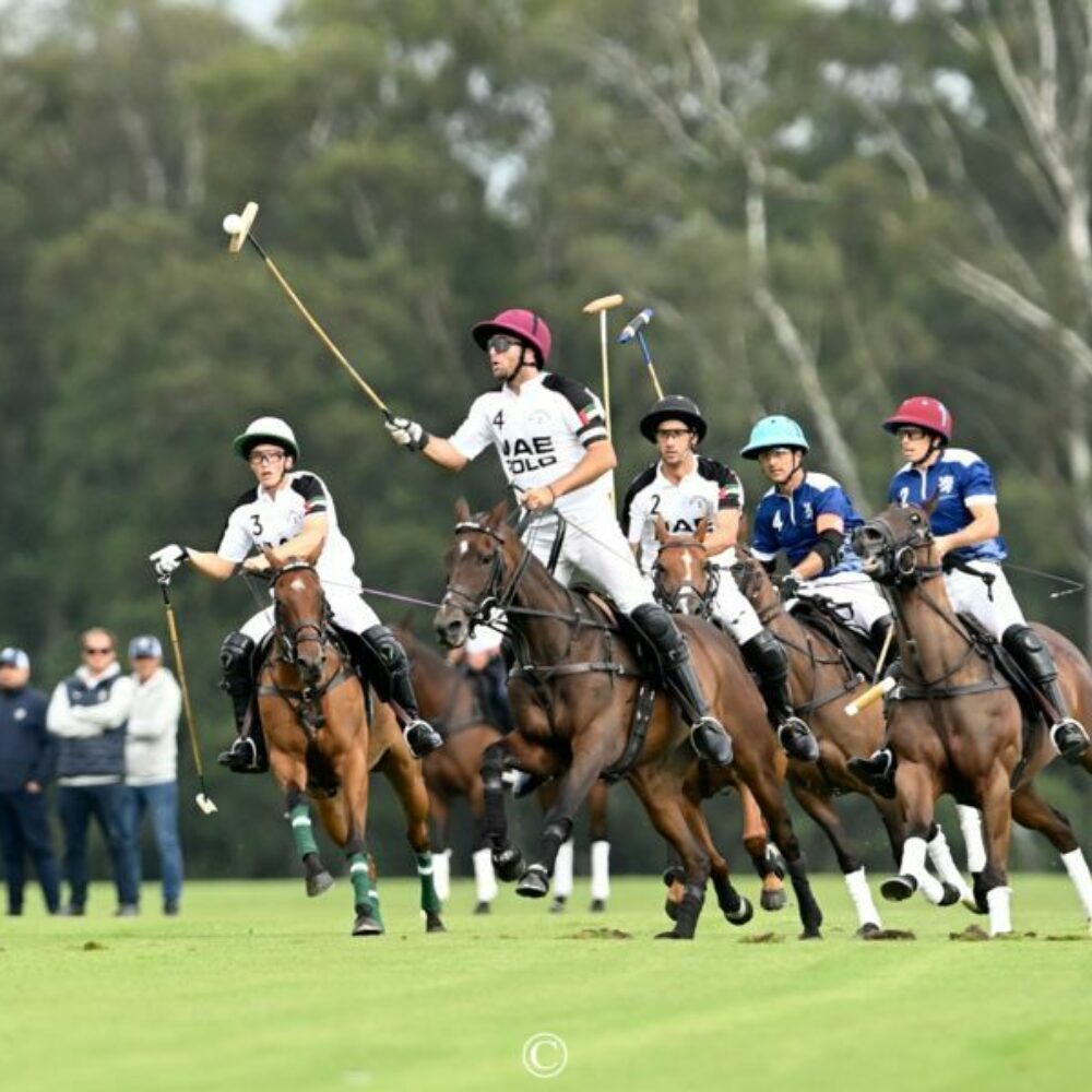 Image for Club News Item - VIDEO We go behind the scenes at the UAE Polo Team
