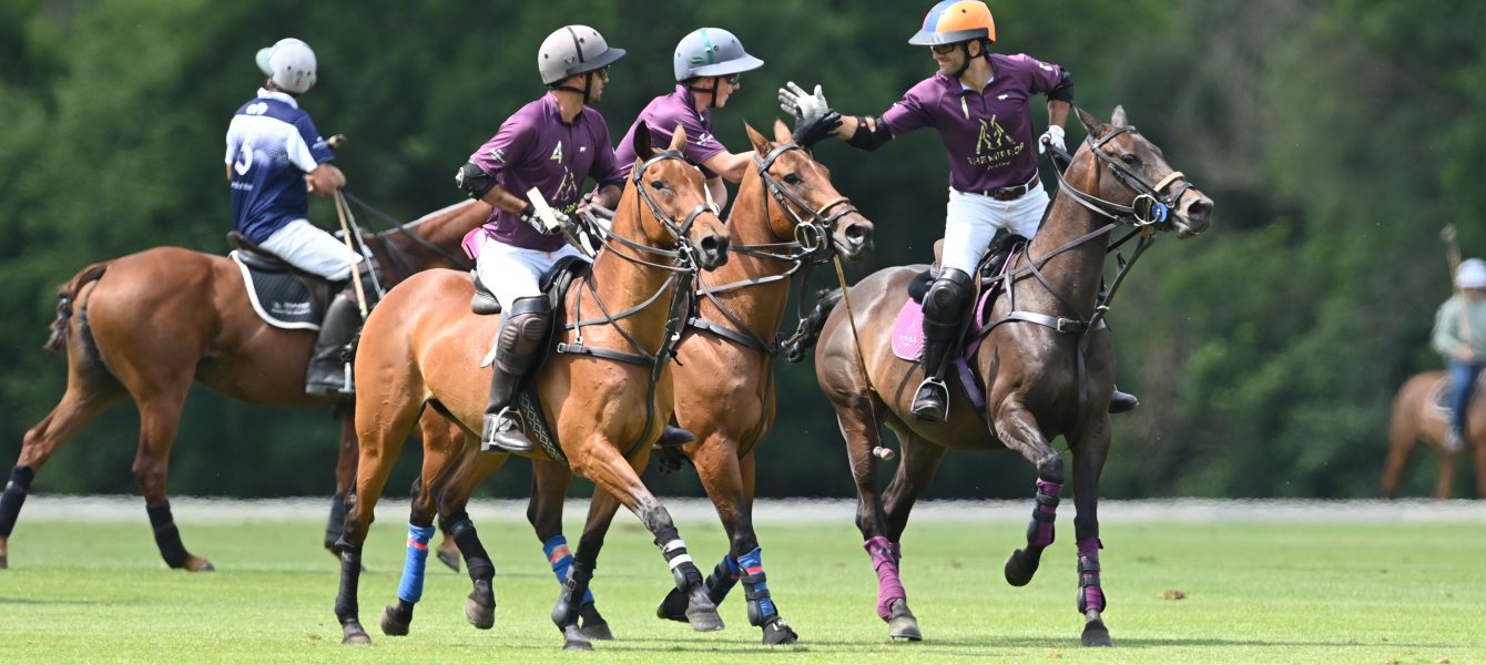 Tournament Image of Committee Cup (Season 2026)