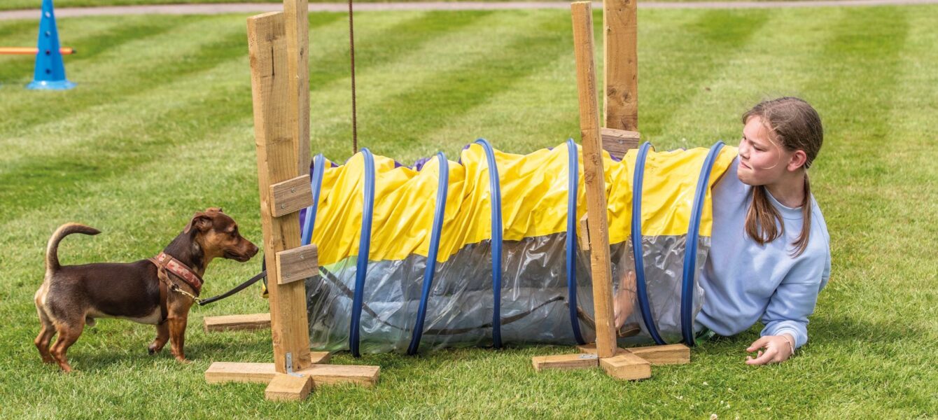 Tournament Image of Smith's Lawn Dog Show (Season 2025)